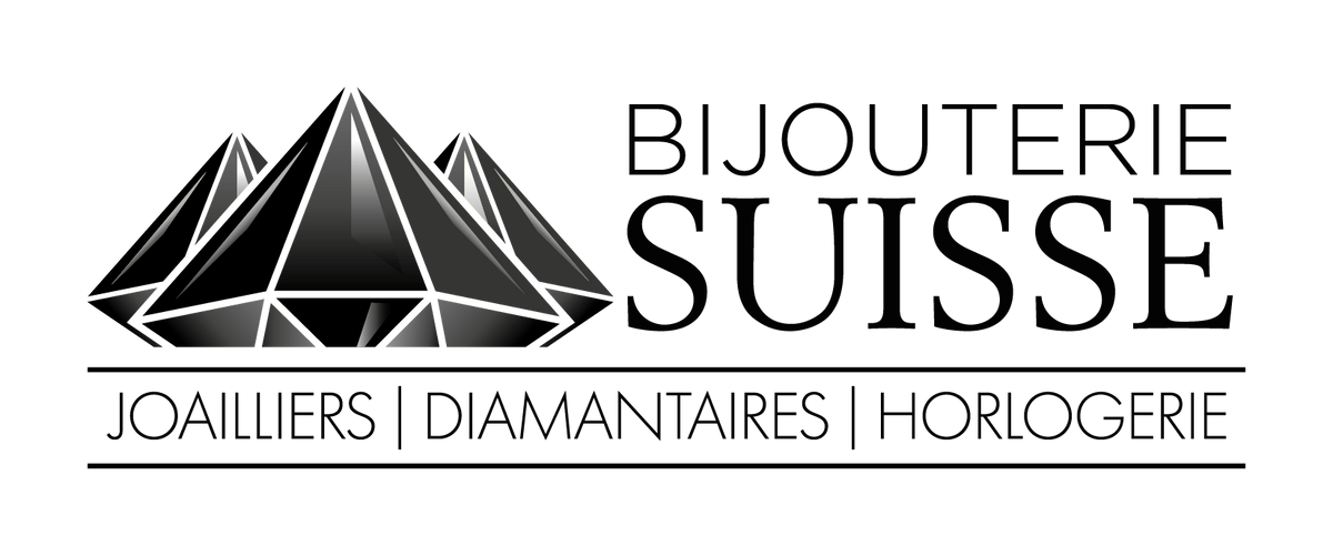 BSuisse entreprise